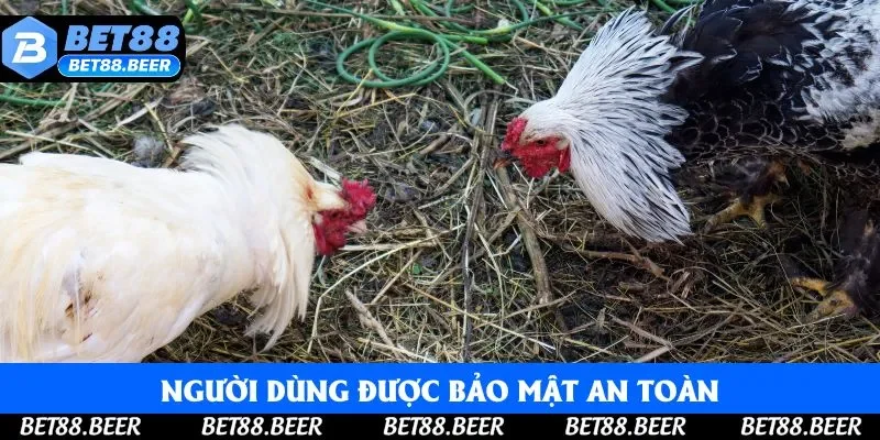 Người dùng được bảo mật an toàn, không lo về rò rỉ Người dùng được bảo mật an toàn, không lo về rò rỉ